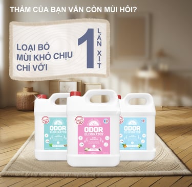 Khử mùi thảm lót sàn phòng khách chỉ với 1 lần xịt
