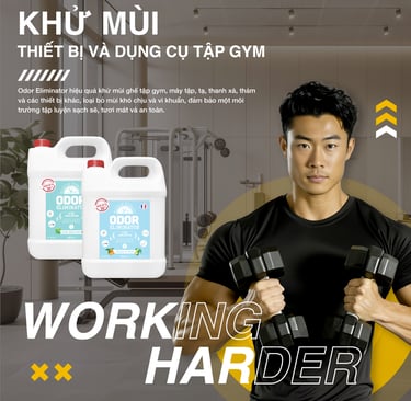 Khử mùi mồ hôi khó chịu dụng cụ tập gym, máy móc, tạ, xà, thảm