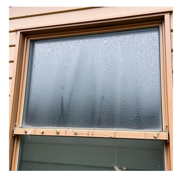 The importance of Moisture Management within our Homes