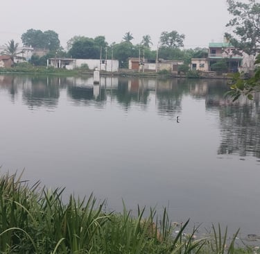 Image of pond