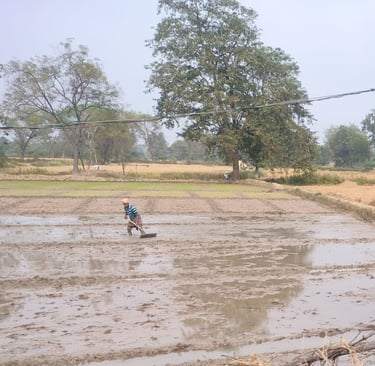 a farmer is working in the field