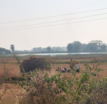 image of nature