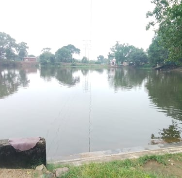 pond