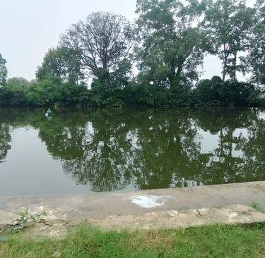 pond