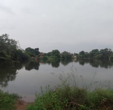 pond