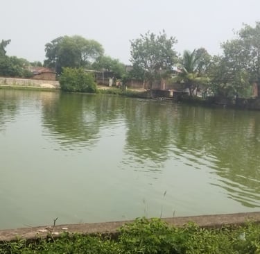 pond