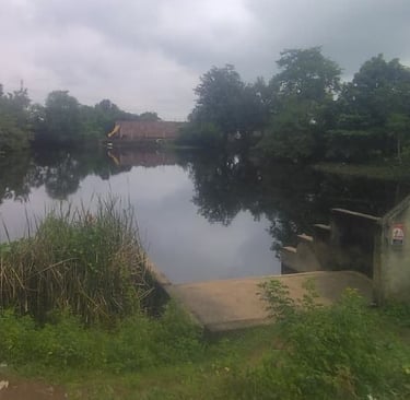 pond