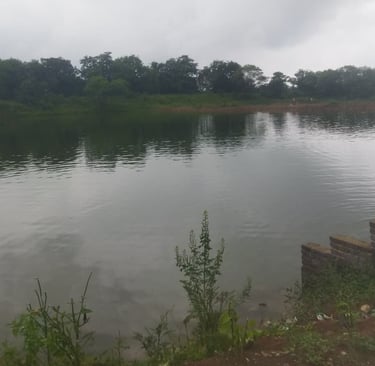 pond