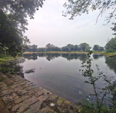pond