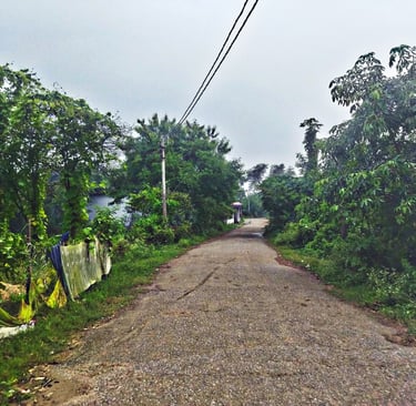 street