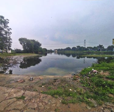 pond
