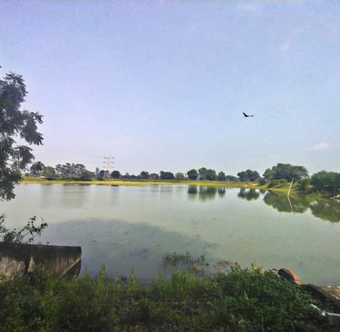 pond