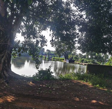 pond