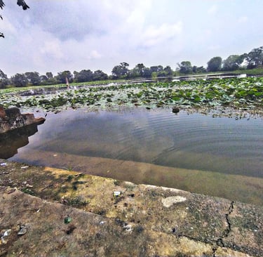pond