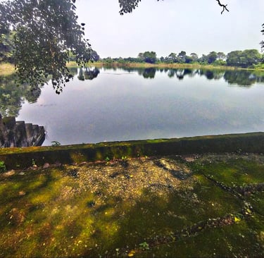 pond