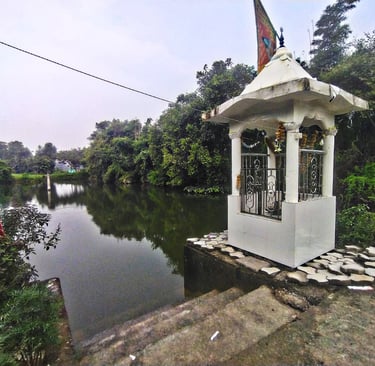 pond
