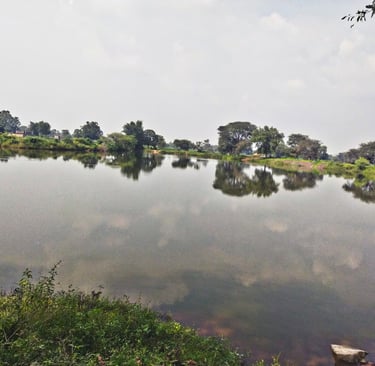 pond