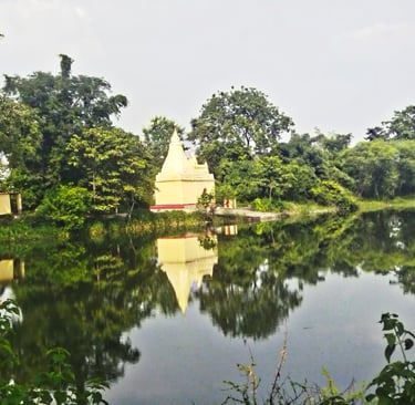 pond