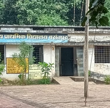 school