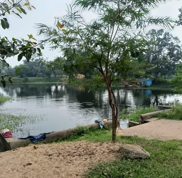 pond