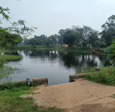 pond