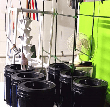 Kratky Hydroponic System