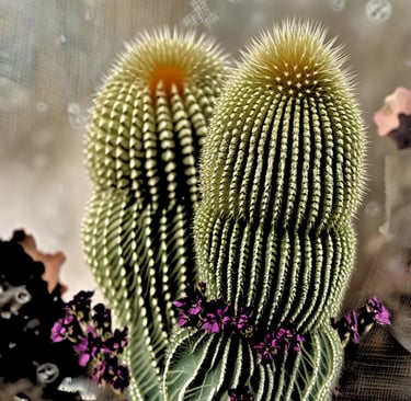 Neobuxbaumia polylopha Cactus