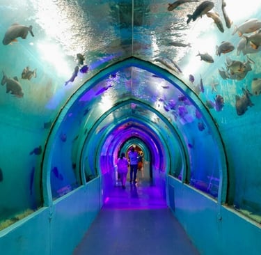 Mysuru Underwater Aquarium