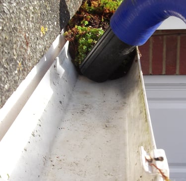 Gutter vac clearing a gutter of massive growth