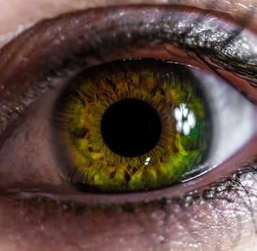 iridologie naturopathe