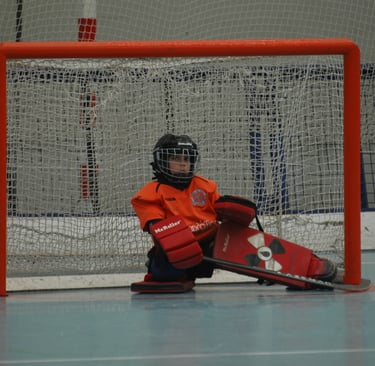 Escuelas Hockey Patines