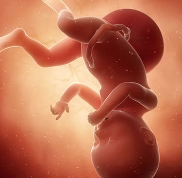 Preterm delivery prior to the ninth month