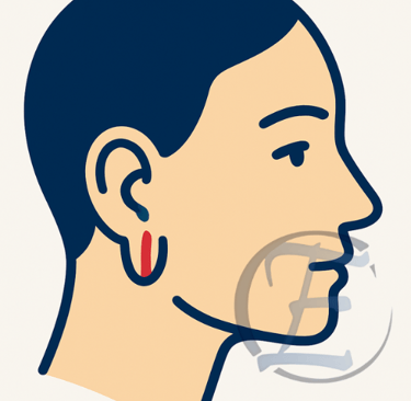 Perfil minimalista com lóbulo fendido vermelho; contorno azul-escuro, fundo branco.