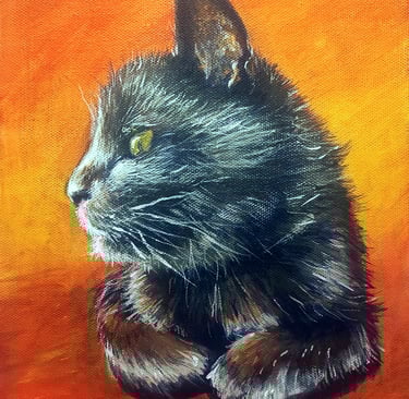 a pet portrait of a black cat on an orange background