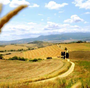 Caminho de Val D’Orcia: de San Quirico a Pienza