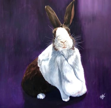 Bunny, rabbit, purple, art, pet, Dutch rabbit, white and brown bunny, acrylic art