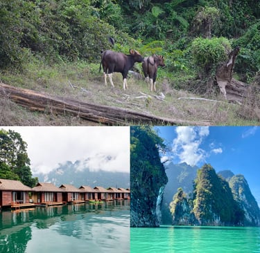a collage of a couple of stunning limestone peaks in Thailand - surrounding a crystal clear lake