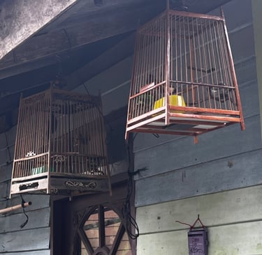 wooden bird cages hang on walkways, Koh Panyee