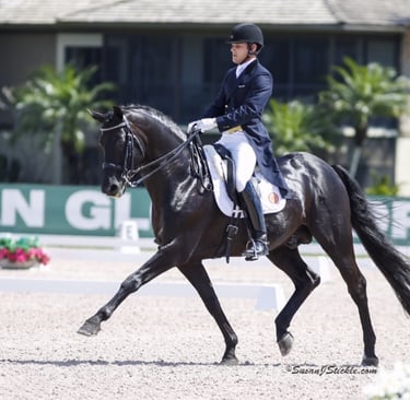 Rick Silvia with Rubinero competing in Dressage in Palm Beach, Florida, USA