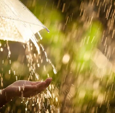 chuva, filtrox bueiros, bueiro ecologico