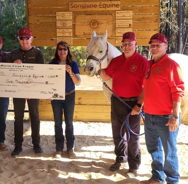 Donation to Sonshine Equine