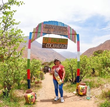 Huerto el Encanto