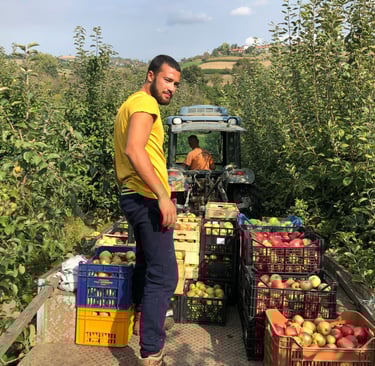 sidro di mele piemontesi