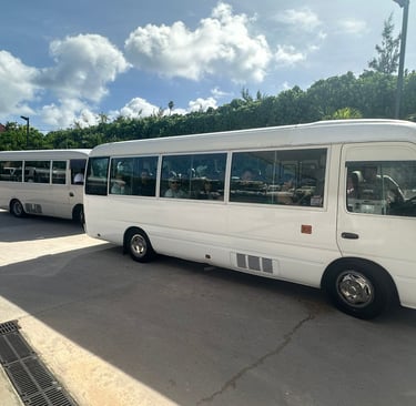 sunset transport buses