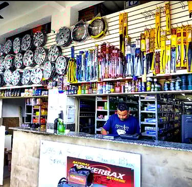 dvm auto peças