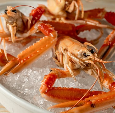 scampi adagiati su ghiaccio