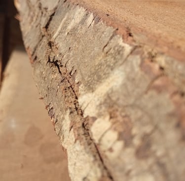 planche de bois brut