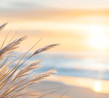 een strand met de zon op de achtergrond