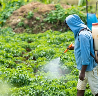 DAP FERTILIZER