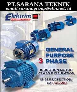 Jual Teco Electric Motor, jual Tatung Electric Motor, jual Elektrim Cantoni Electric Motor